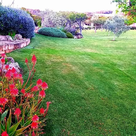 Casa Delle Rose *